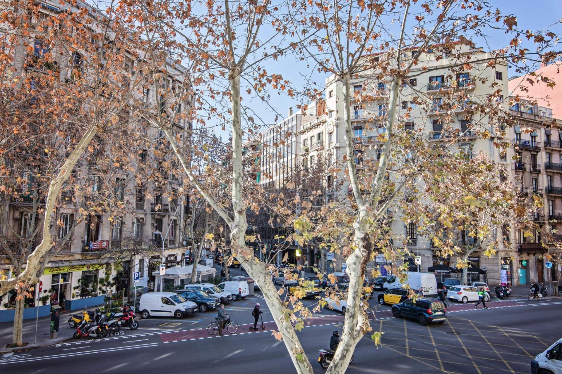 Comte Urgell Apartment Barcelona Bagian luar foto